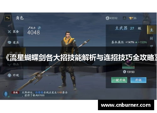 《流星蝴蝶剑各大招技能解析与连招技巧全攻略》